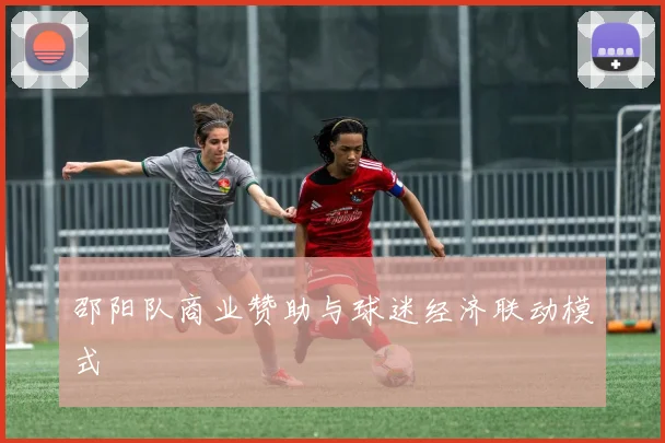 邵阳队商业赞助与球迷经济联动模式