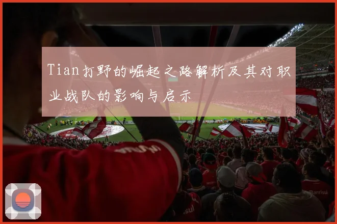 Tian打野的崛起之路解析及其对职业战队的影响与启示