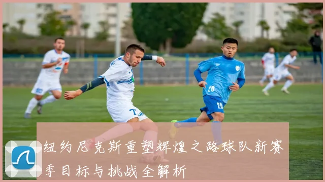 纽约尼克斯重塑辉煌之路球队新赛季目标与挑战全解析