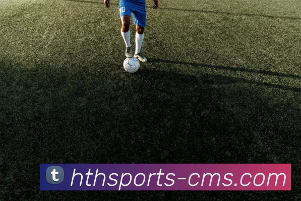 华体会hth服务体系